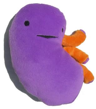 stuffed kidney bean toy